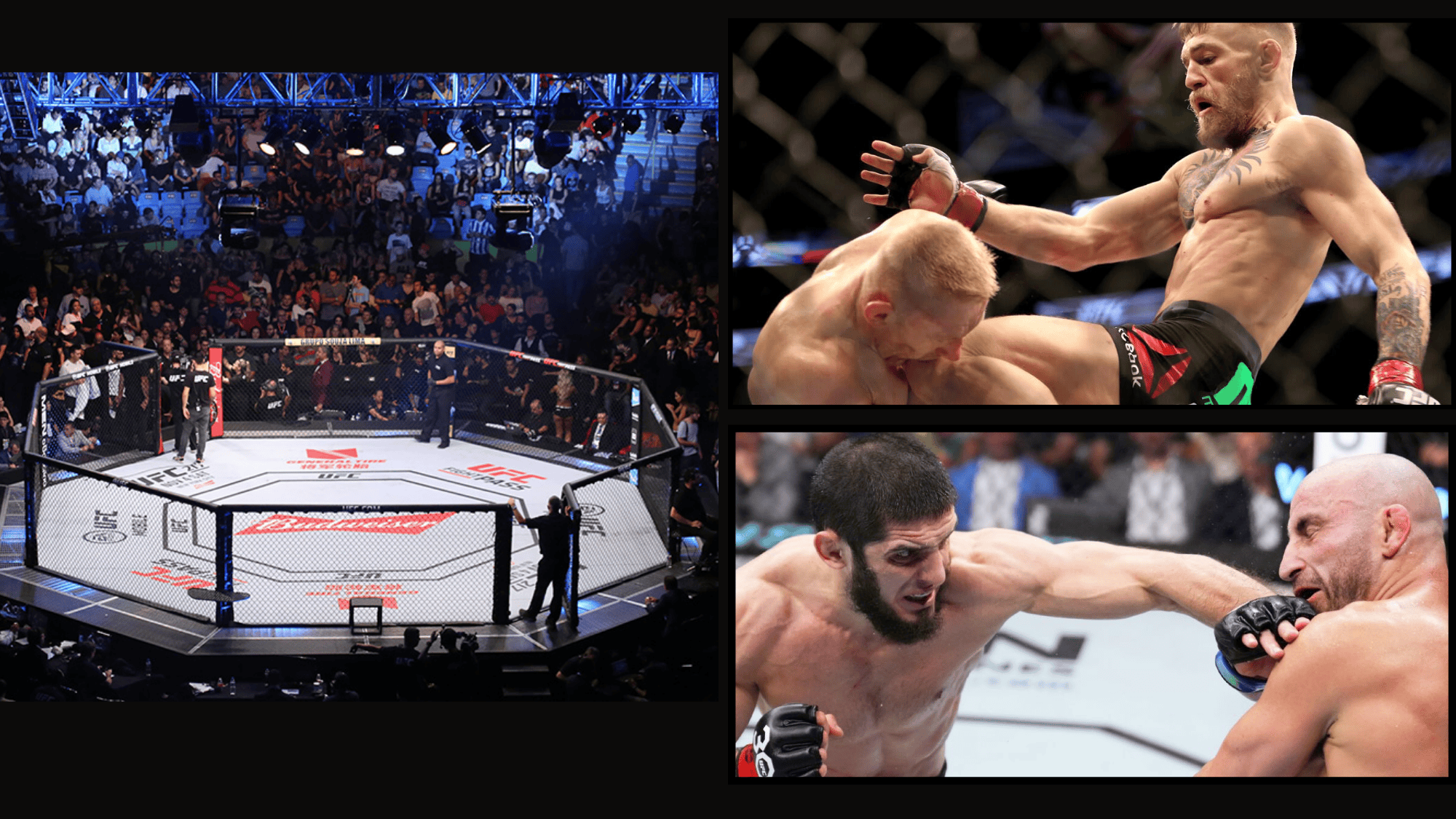 Mixed_Martial_Arts_MMA