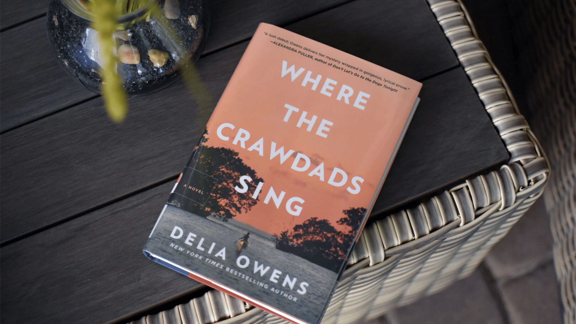 Where the Crawdads Sing Reviews?