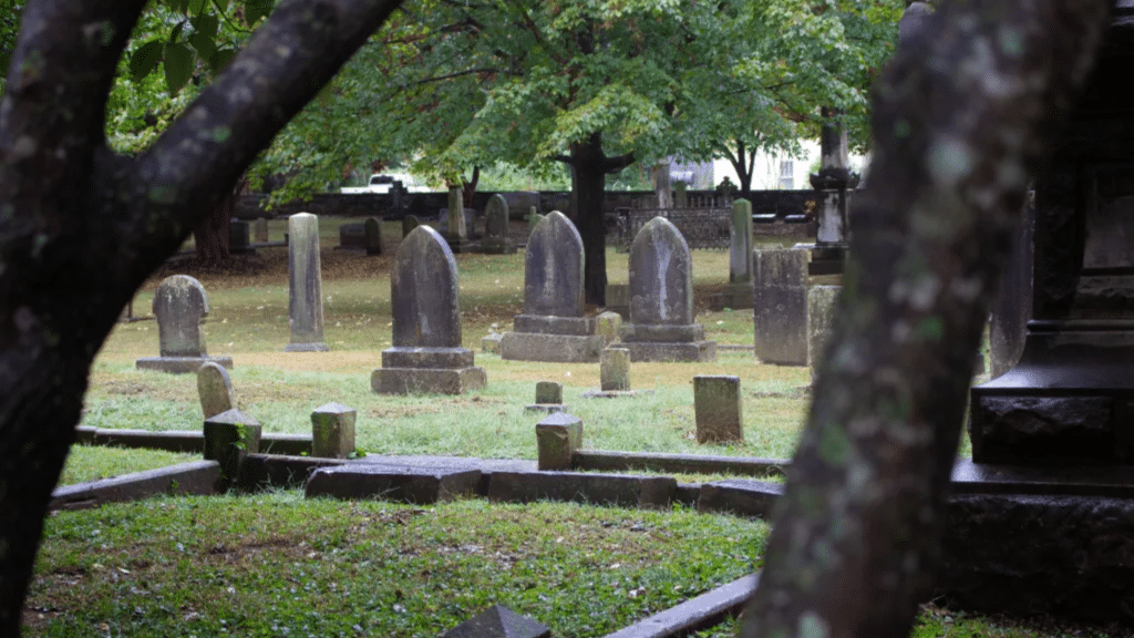 Dead Children's Playground: Truth vs Myth