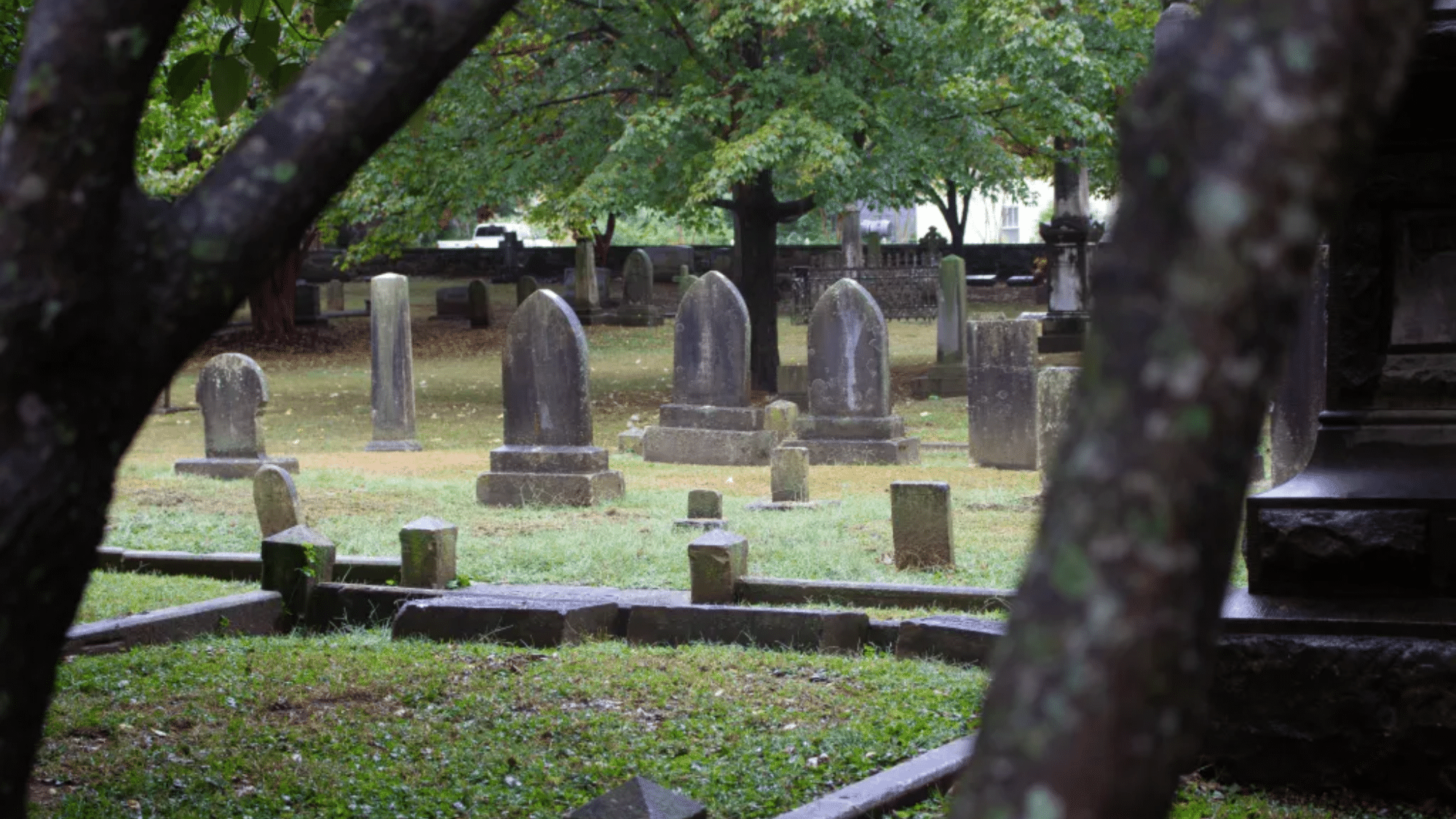 Dead Children's Playground: Truth vs Myth