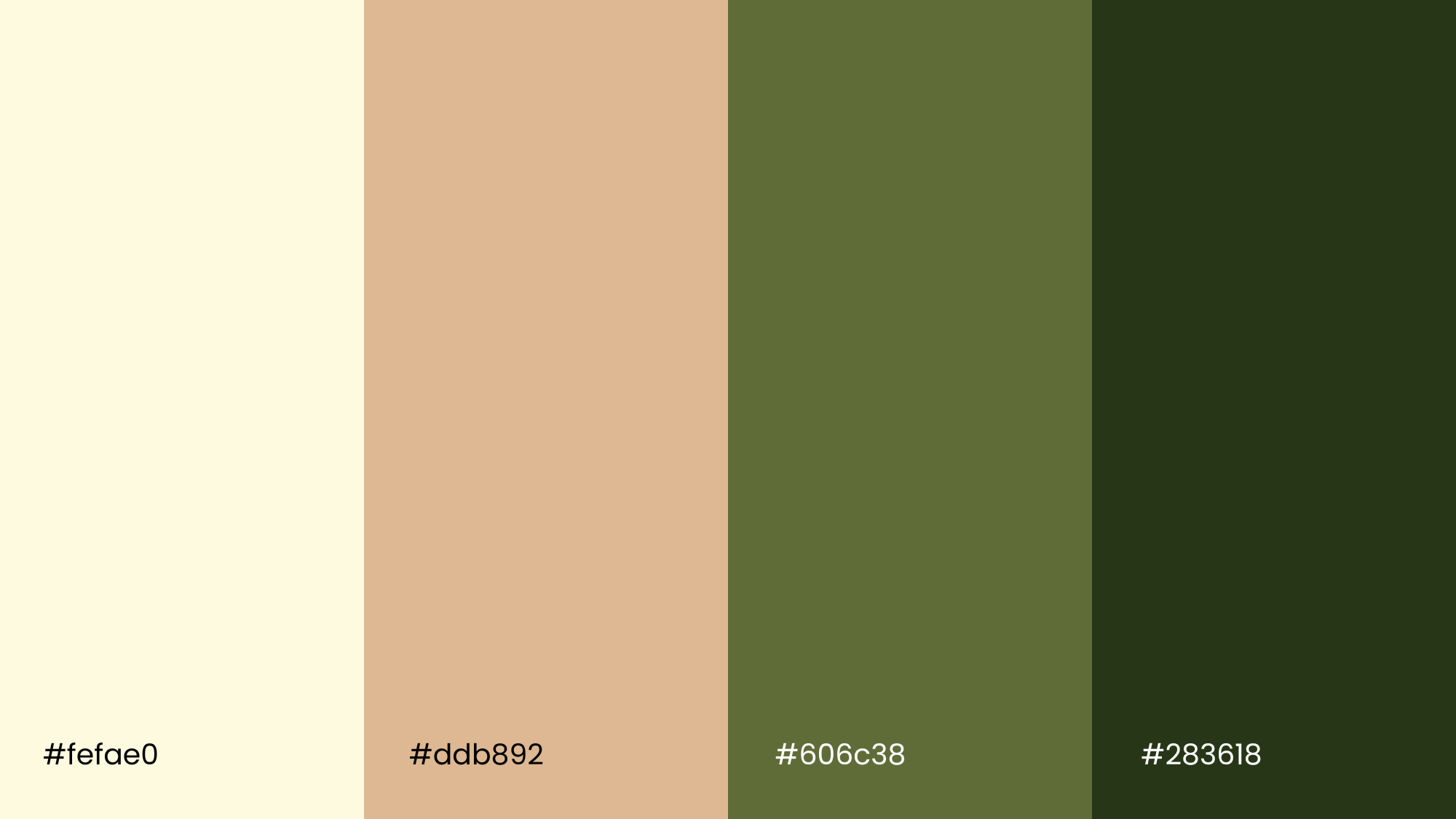 Nature-Inspired Palette