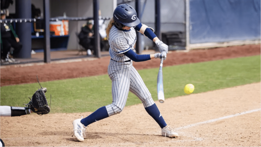 what+is+a+utility+player+in+softball